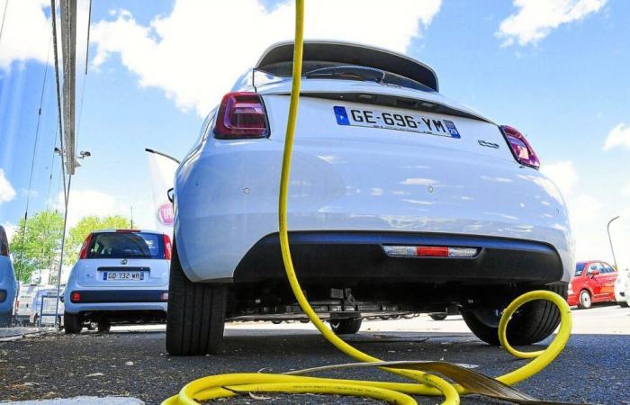 Coche eléctrico: el recorte de las ayudas a la compra hace temer un desplome de las ventas