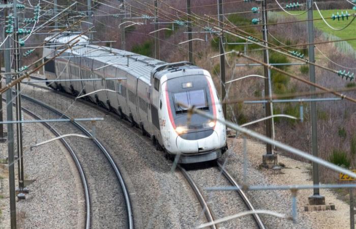 Un TGV procedente del suroeste tarda más de 10 horas en llegar a la estación de Montparnasse de París