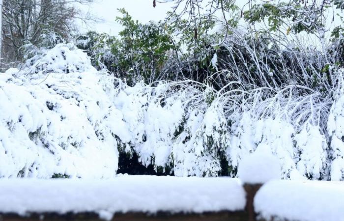 riesgo de volver a congelarse antes de un período leve este fin de semana