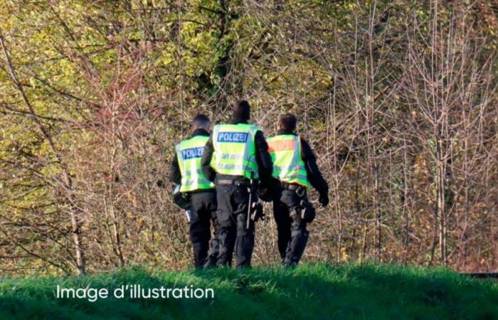 Una mujer de 81 años encontrada muerta en un bolso en Francia: su vecino bajo custodia policial