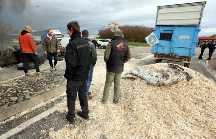 Ira de los agricultores: “Una vez pagados todos los gastos, me quedan 8.000 euros al año”, lamenta un joven agricultor de Tarn y Garona