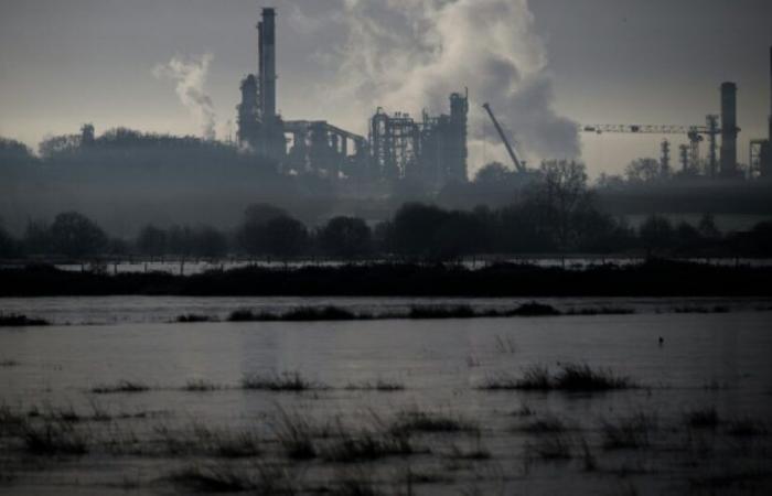 Contaminación en el Loira tras una fuga de petróleo en Total en Donges: Noticias