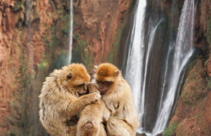 Las 10 mejores maravillas naturales de Marruecos según Le Figaro