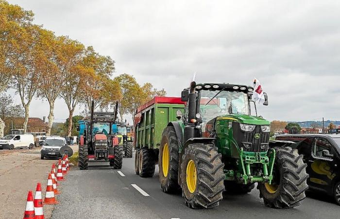 Segunda semana de movilización campesina: ¿qué esperar?