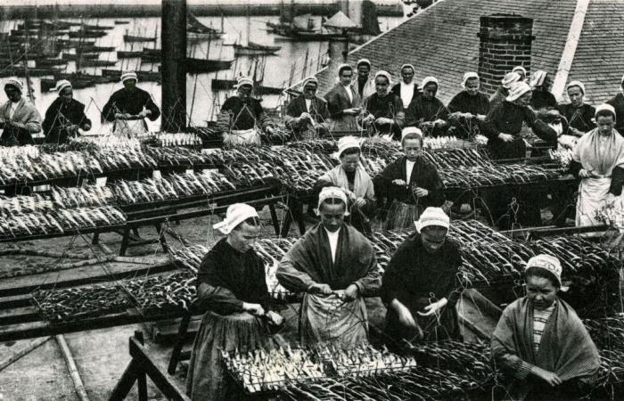 Cómo las pesquerías de sardinas “explotadas” de Douarnenez obligaron a los empresarios a ceder