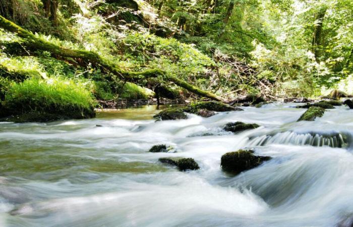 “Regards sur la Nature en Centre-Val de Loire”: un hermoso libro para descubrir nuestros entornos naturales