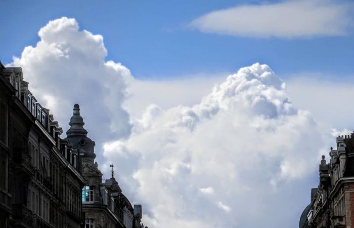 Informe meteorológico. ¿Cómo está el tiempo este domingo 23 de noviembre en Alta Francia?