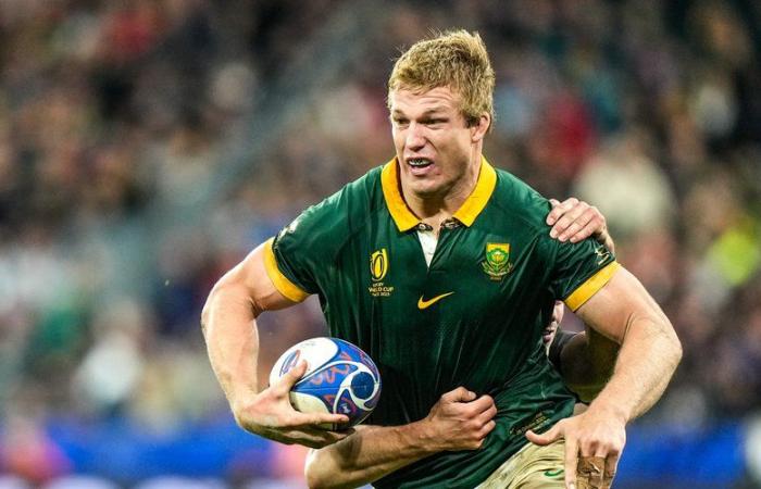 World Rugby Awards – El sudafricano Pieter-Steph du Toit es elegido mejor jugador del mundo, ningún francés en el XV del año