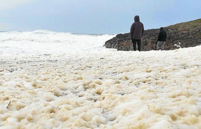 Vendaval en Bretaña: ráfagas de más de 120 km/h y numerosos peatones en la costa [En images]