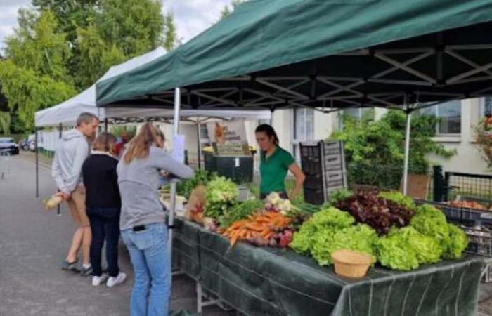 En Aÿ-Champagne, el festival “Les champs gourmands” pone el buen comer en el centro del plato