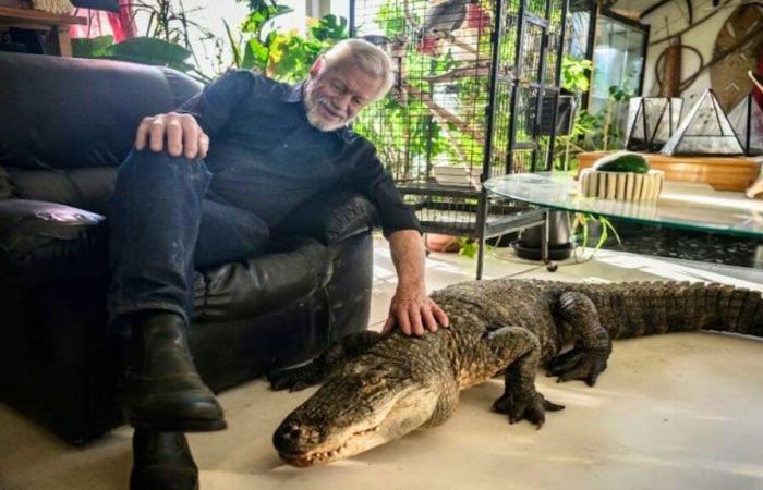 Salvando reptiles: Philippe Gillet, YouTuber comprometido