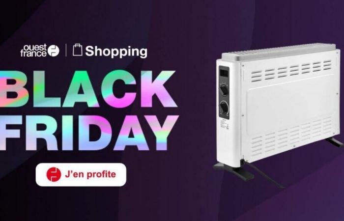 ¿Qué calefacción adicional para el Black Friday? Las 4 mejores ofertas flash del momento