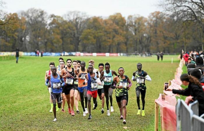 Cruz con etiqueta de oro en Carhaix: nivel muy alto… y preguntas