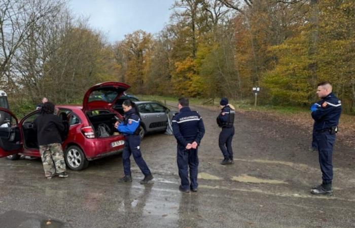 Una fiesta rave en Orne reúne ilegalmente a 200 personas en el bosque de Bourse