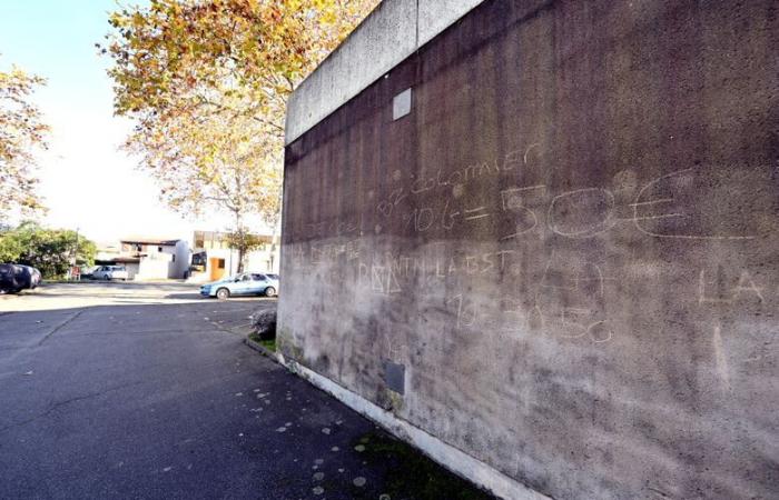 INFORMACIÓN LA DEPECHE. Asesinato de Teddy en Blagnac: un segundo menor detenido, los sospechosos tienen 15 y 16 años