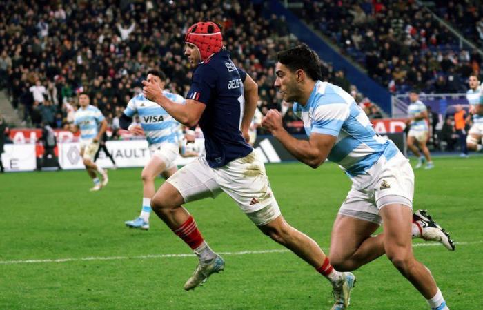 XV de Francia – Una gira de otoño llena de promesas antes del Torneo de las 6 Naciones de 2025