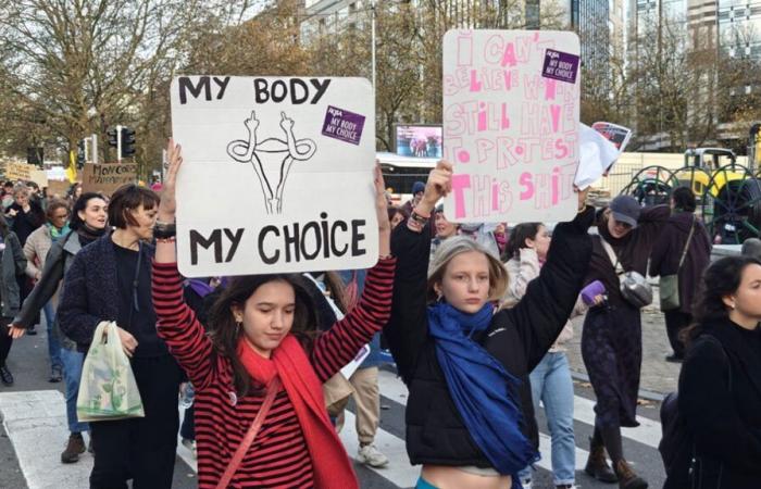 “Mujer, vida, libertad”: cientos de personas se manifiestan contra la violencia machista en Bruselas