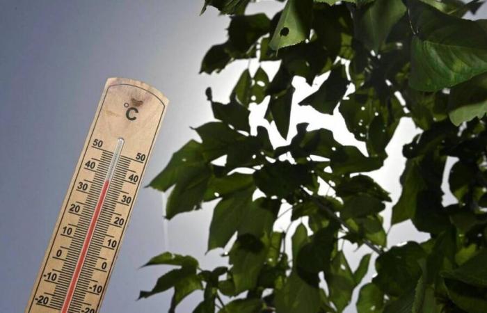 20,2°C registrados en Côtes-d’Armor, mientras que hace tres días nevaba…