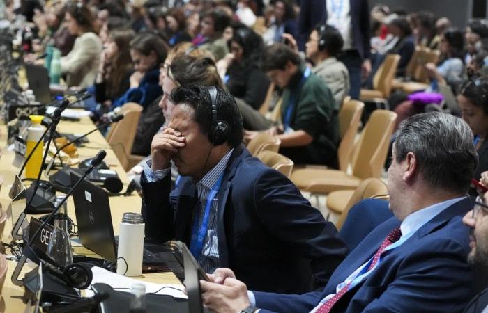 Acordado en la cumbre sobre el clima en Bakú, pero las reacciones están muy divididas: “Esto es una broma”