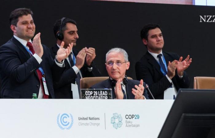 COP29 en Bakú: Acuerdo sobre un nuevo objetivo financiero