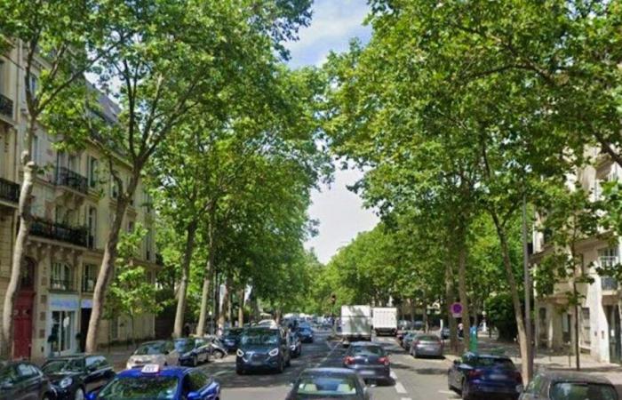 Secuestro en París: dos mujeres suizas testifican