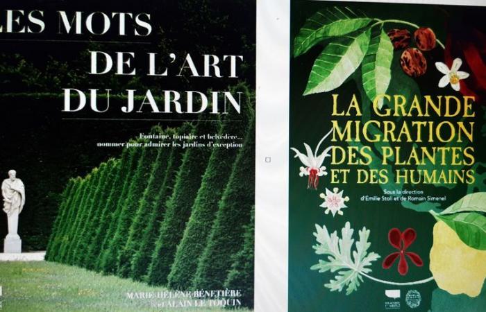 Ideas de regalos para Navidad: regala un libro sobre jardines