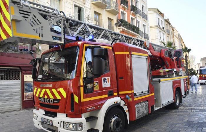 Dos incendios ocurridos al mismo tiempo en Narbona y rápidamente controlados