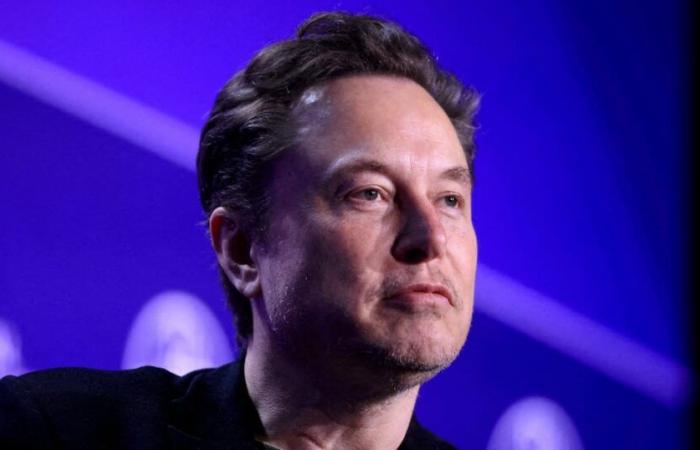 TikTok busca ayuda de Musk antes de la adquisición de Trump