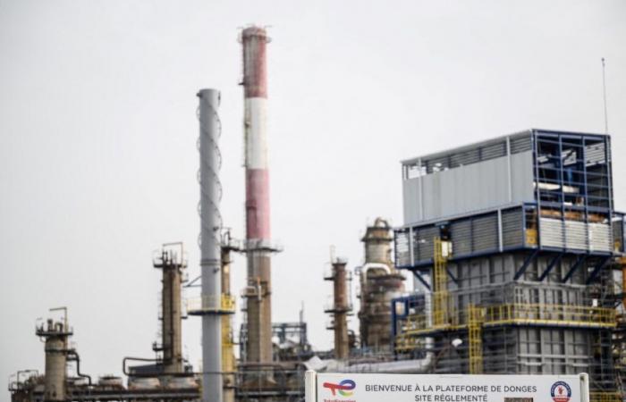 Lo que sabemos sobre la contaminación en el Loira por la refinería TotalEnergies en Donges