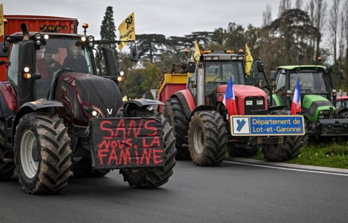 manifestación prevista para el martes frente al Parlamento Europeo en Estrasburgo