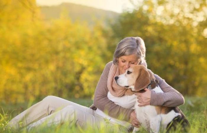 Perros detectores de cáncer: una revolución médica en marcha