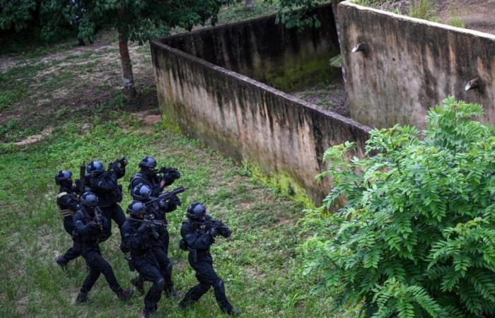 Desmantelada en Costa de Marfil y Madagascar una red del Estado Islámico que quería llegar a Europa