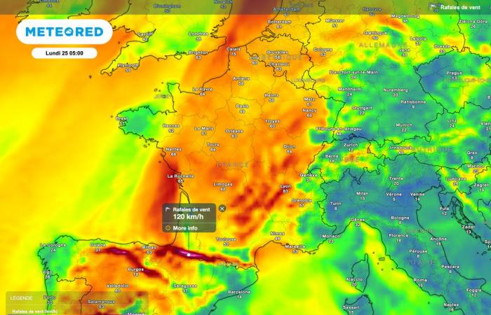 ¡Advertencia naranja por vientos violentos lanzado en varios departamentos de Francia! ¿Estás preocupado? ?