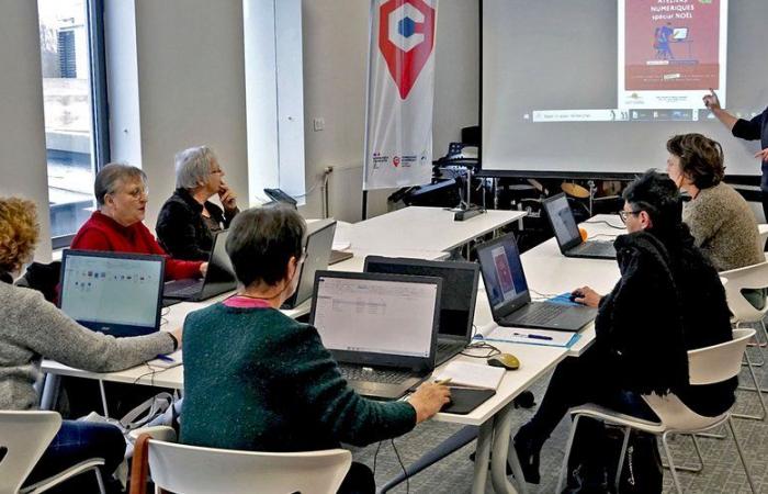 Causada. Los últimos talleres digitales gratuitos del año…