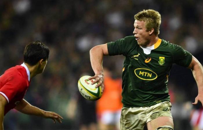 Rugby. Pieter-Steph du Toit, nombrado jugador del año del 15