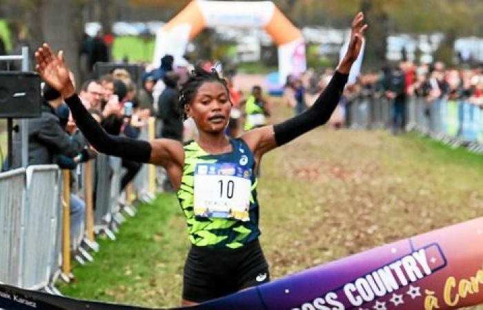 Carhaix Cross: Guillemot imperial, Bédard derrotado en el sprint, Bouchard falla, resultados del domingo