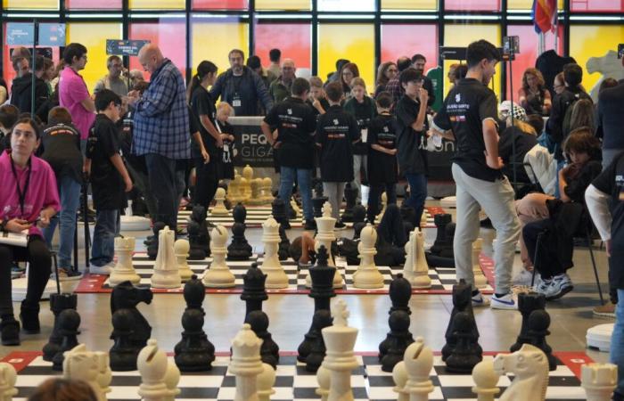 Campeonato Escolar de Ajedrez en EL LLOBREGAT OPEN CHESS: Fomentando la Educación y Sostenibilidad