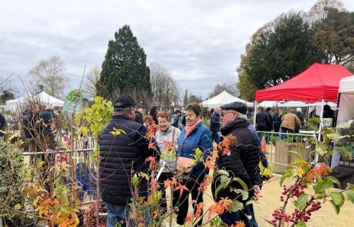 “Un mercado de plantas de alta gama” esperado con impaciencia en Maine-et-Loire