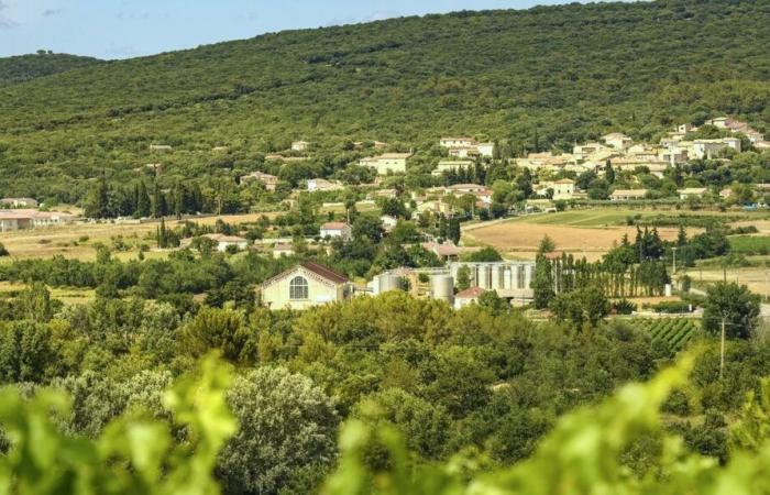 GARD Los Vignerons des Capitelles combinan con sus comidas de fin de año