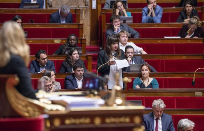 El proyecto de ley de la diputada Alma Dufour debatido en la Asamblea