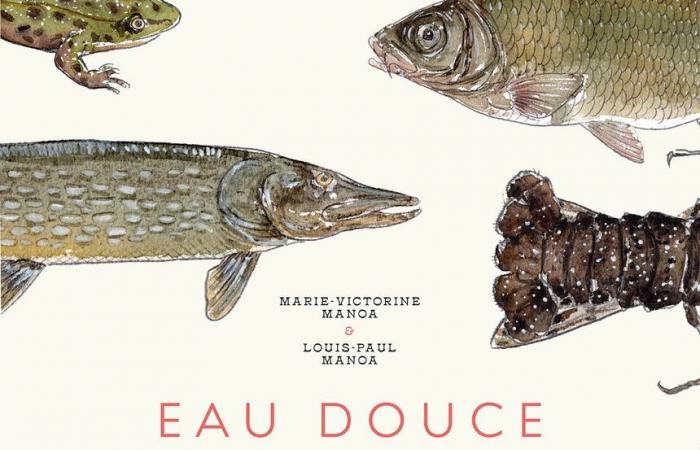 Peces de agua dulce | Inter de Francia