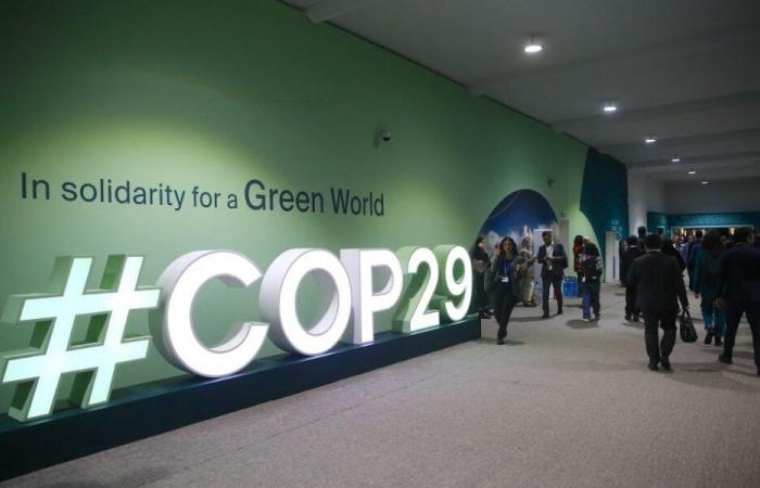 COP29: 300 mil millones de dólares al año para financiar la adaptación climática en los países en desarrollo