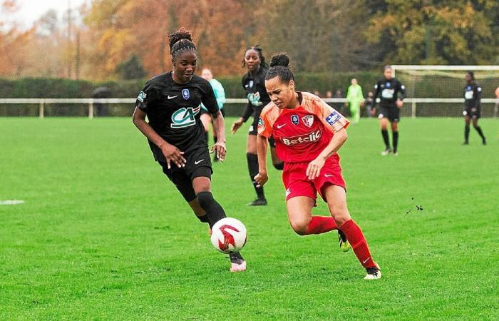 Copa de Francia femenina: derrotados por el ES Seizième, los Kériolets de Pluvigner salen con la cabeza en alto