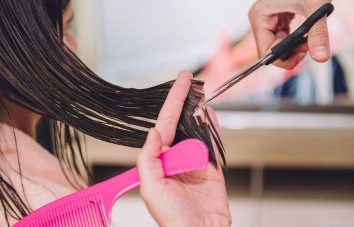 Léa, campeona mundial de peluquería artística: “Es mucho rigor y trabajo”