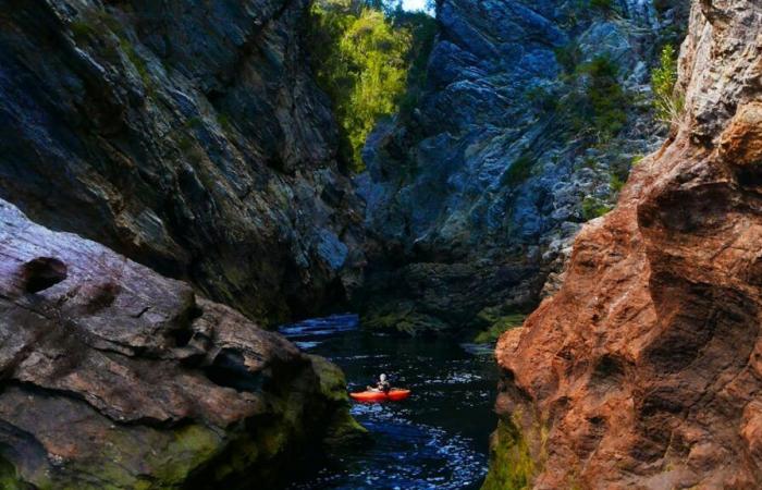 Australia: un kayakista al que le amputan una pierna en Tasmania