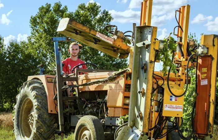 GARD Los Vignerons des Capitelles combinan con sus comidas de fin de año