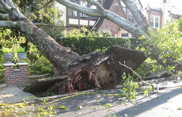 Alerta meteorológica por vientos violentos este lunes 25 de noviembre en Pirineos Atlánticos, Altos Pirineos, Gers, Alto Garona, Ariège, Tarn y Garona