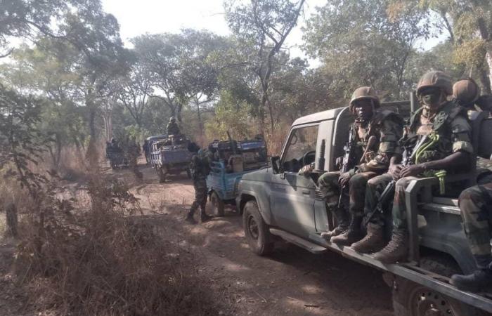 Senegal-Falémé: 2 sitios clandestinos de extracción de oro desmantelados en 48 horas | APAnoticias