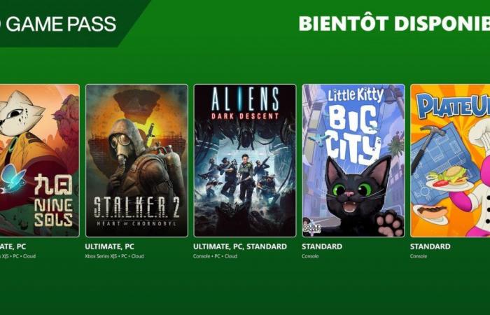 Por menos de 10 € al mes, Game Pass nunca ha sido tan rentable, ¡lo suficiente para terminar un año jugando con estilo!