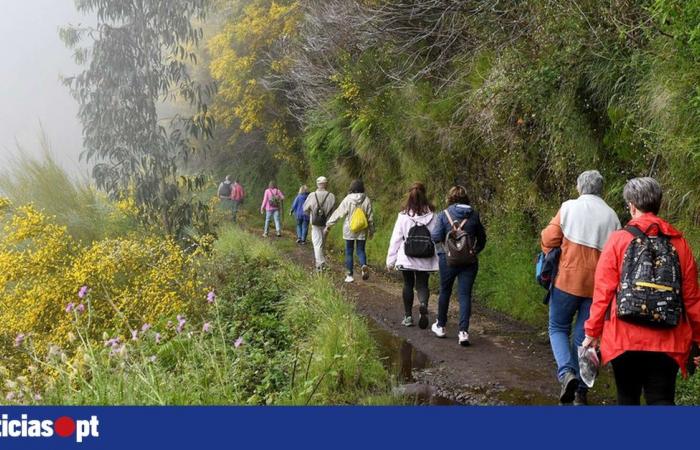 Un día que invita a quedarse en casa y quizás sólo salir por la tarde — DNOTICIAS.PT